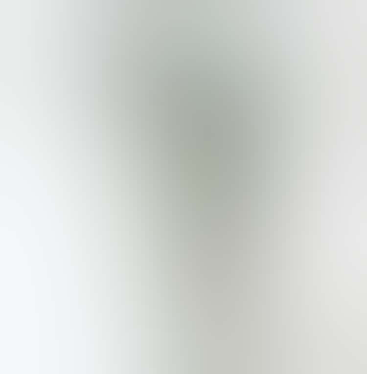 C6F1B8A6 E6E1 481C A386 52FC3E503261 1 105 c (1) (1)
